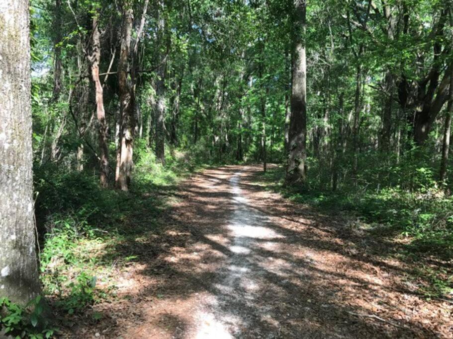Apartment Town & Country Hideaway - 1br/1ba, 20 Min Famu/fsu Tallahassee